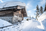 Winterwandern