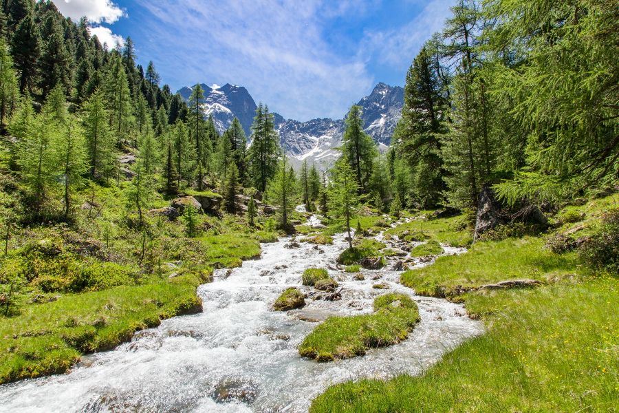 Berggenuss
