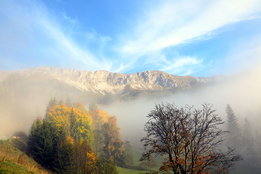 Schwarzenstein-Umgebung4.jpg