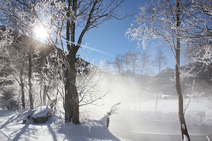 Winter